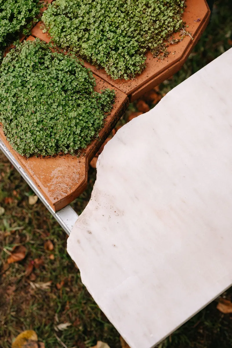 Detail of terracotta pot with microgreens resting on the white cast table edge