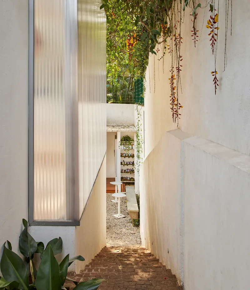 Narrow exterior stairway with brick treads descending between white walls and trailing vines overhead