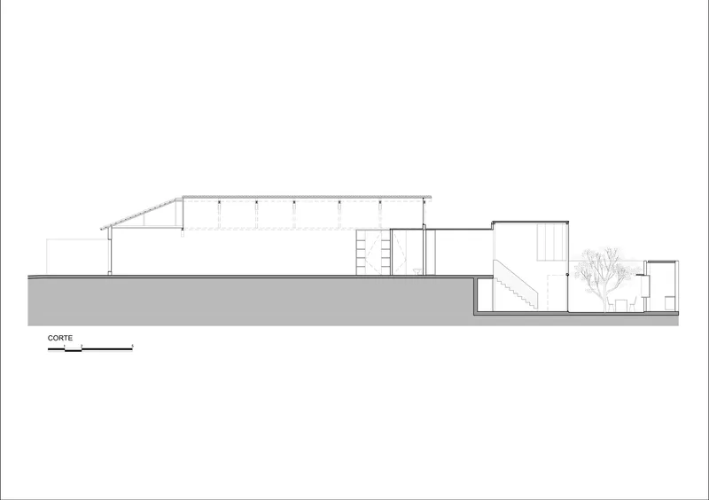 Section drawing showing a split-level interior with a sloped roof and a courtyard tree