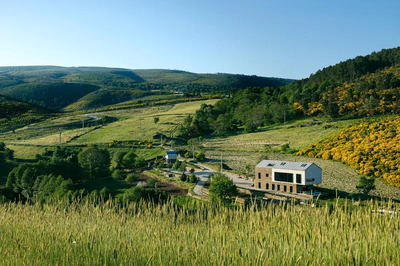 Aerial view of the gabled volume in a hillside landscape with yellow flowering shrubs and wheat fields