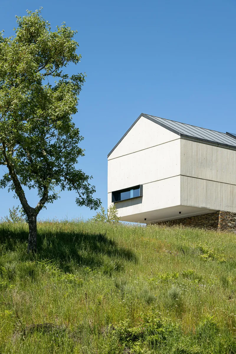Corner view of the cantilevered upper volume clad in pale timber panels above a grassy slope