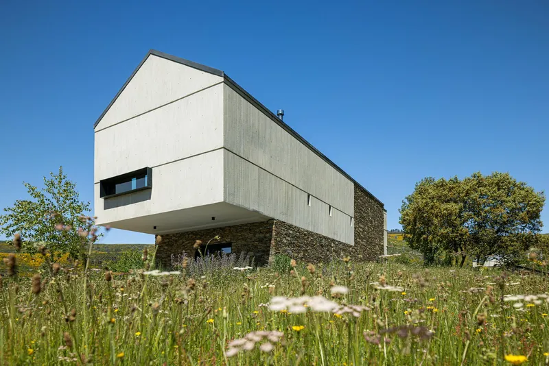 Cantilevered volume clad in pale render and vertical timber panels above a wildflower meadow under clear blue sky