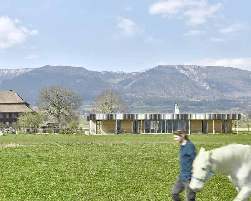Horizontal facade with vertical timber cladding and metal overhang in a green meadow with mountains beyond