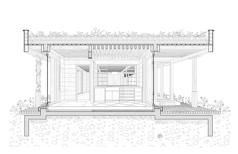 Section drawing through an elevated pavilion showing open living spaces and planted roof with vegetation