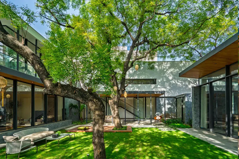 Central courtyard enclosed by glass walls and flat roofs with preserved trees casting dappled shadows on lawn