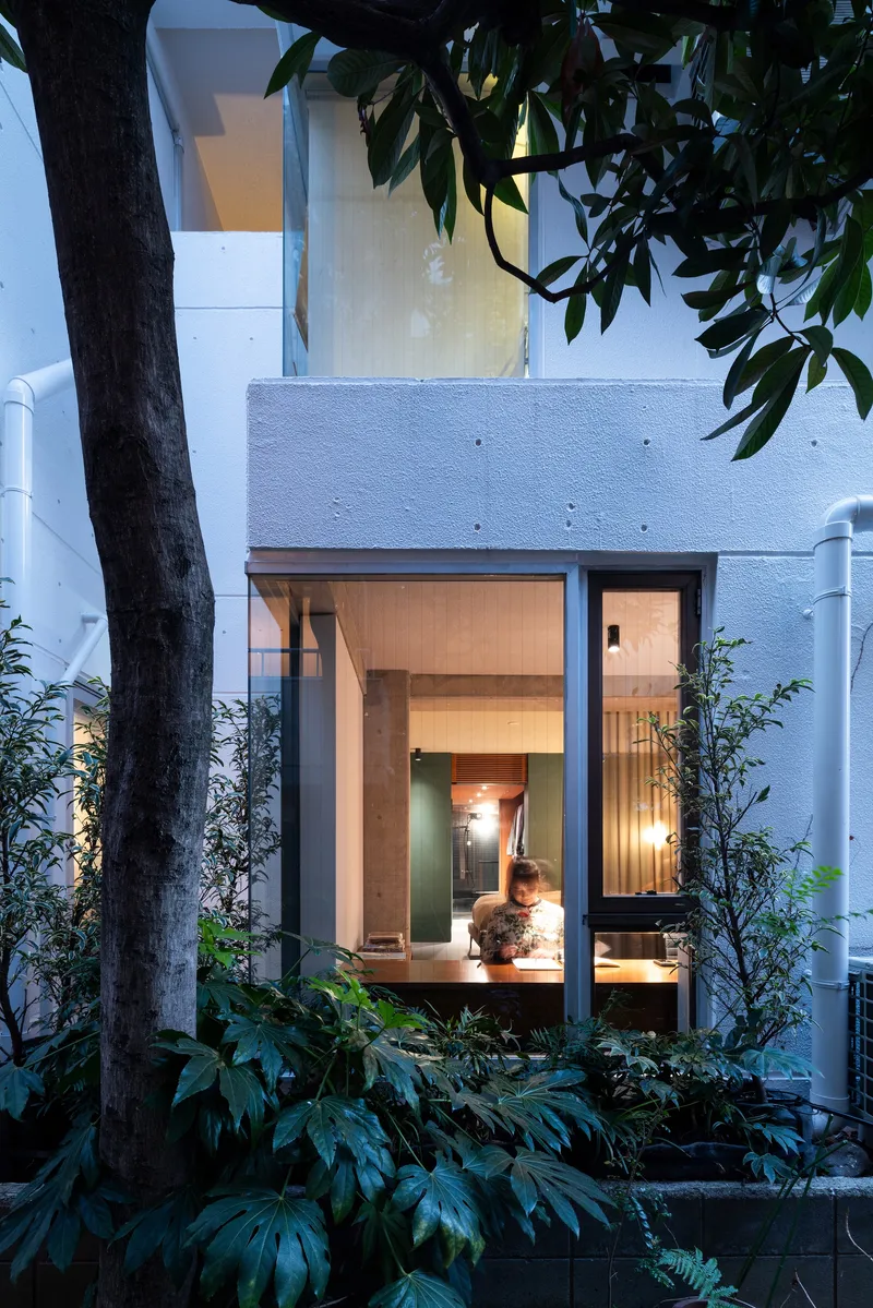 Glass-walled ground floor illuminated at dusk, framed by a tree and planted beds