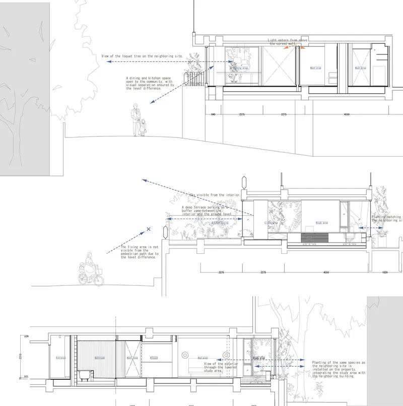 Section drawings showing split-level interior spaces and relationships to surrounding trees