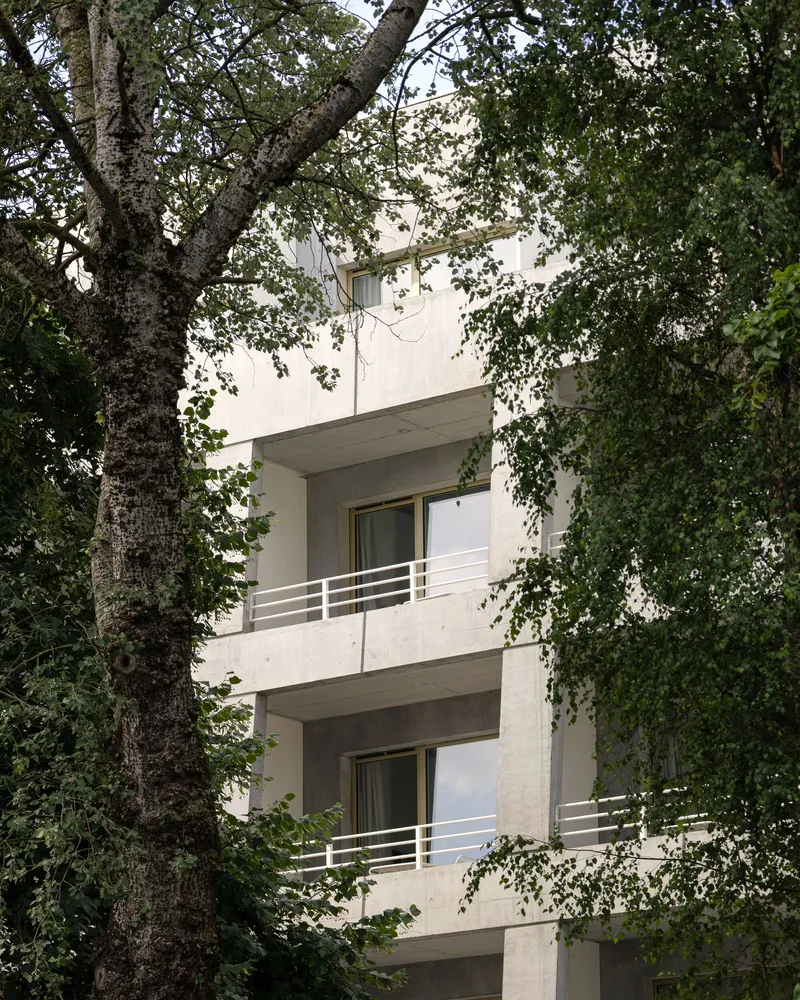 Stacked balconies with white metal railings framed by tree trunks and overhanging branches
