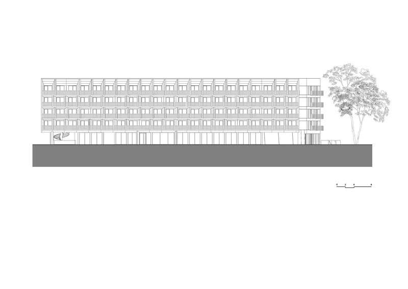 Section drawing showing a rectangular block with uniform window openings and an adjacent tree