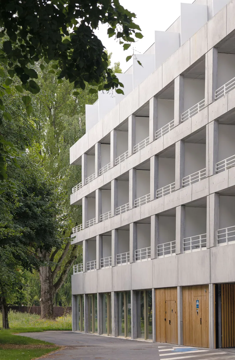 White concrete facade with recessed loggias and timber ground-floor doors beside a large tree