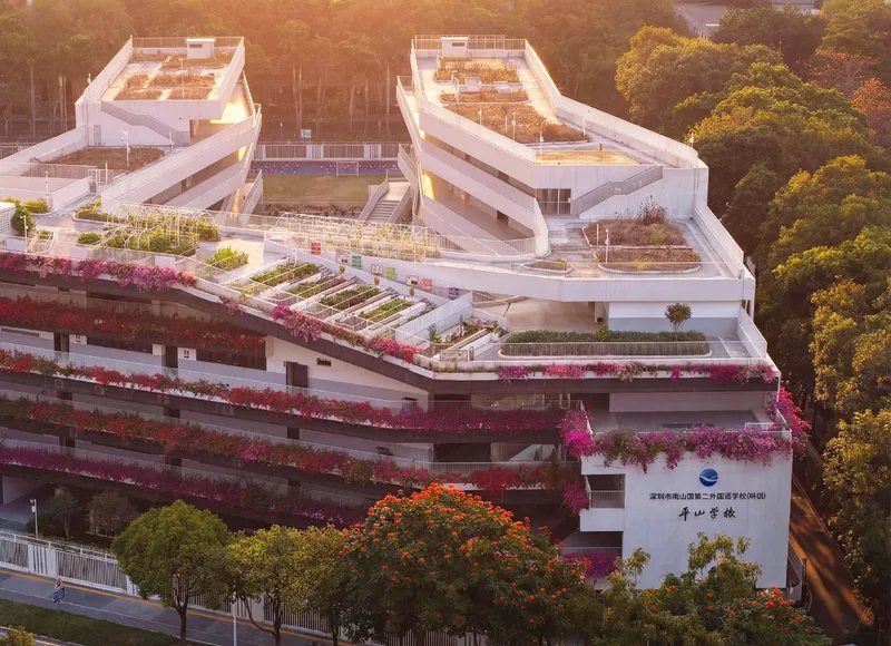 Stepped white terraces covered in pink and red flowering vines at golden hour