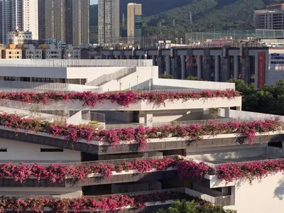 CCDI Dongxiying Studio Transforms a Shenzhen Elementary School into a Terraced Nine-Year Campus