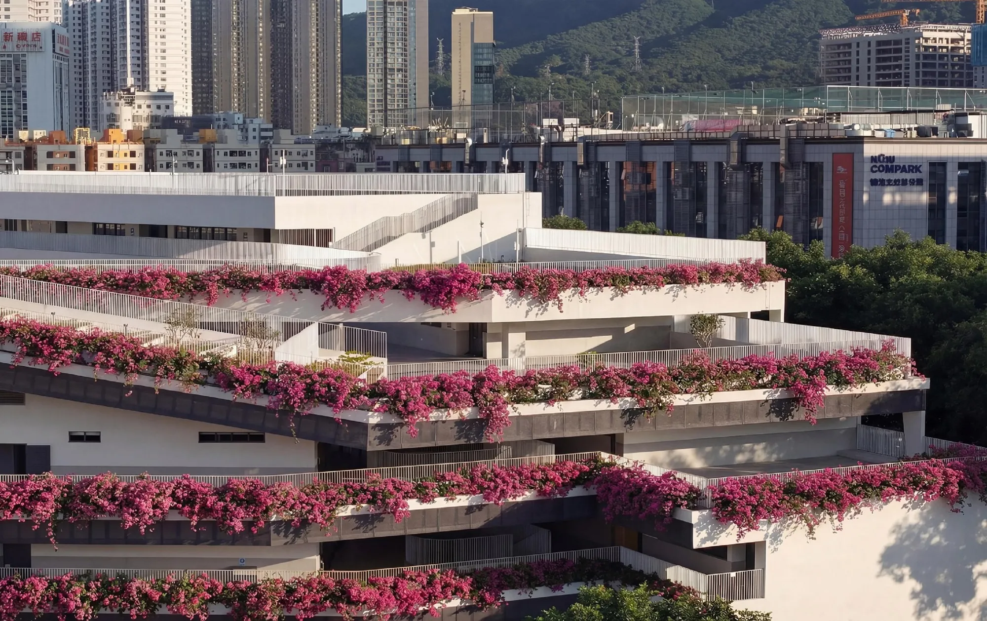 CCDI Dongxiying Studio Transforms a Shenzhen Elementary School into a Terraced Nine-Year Campus