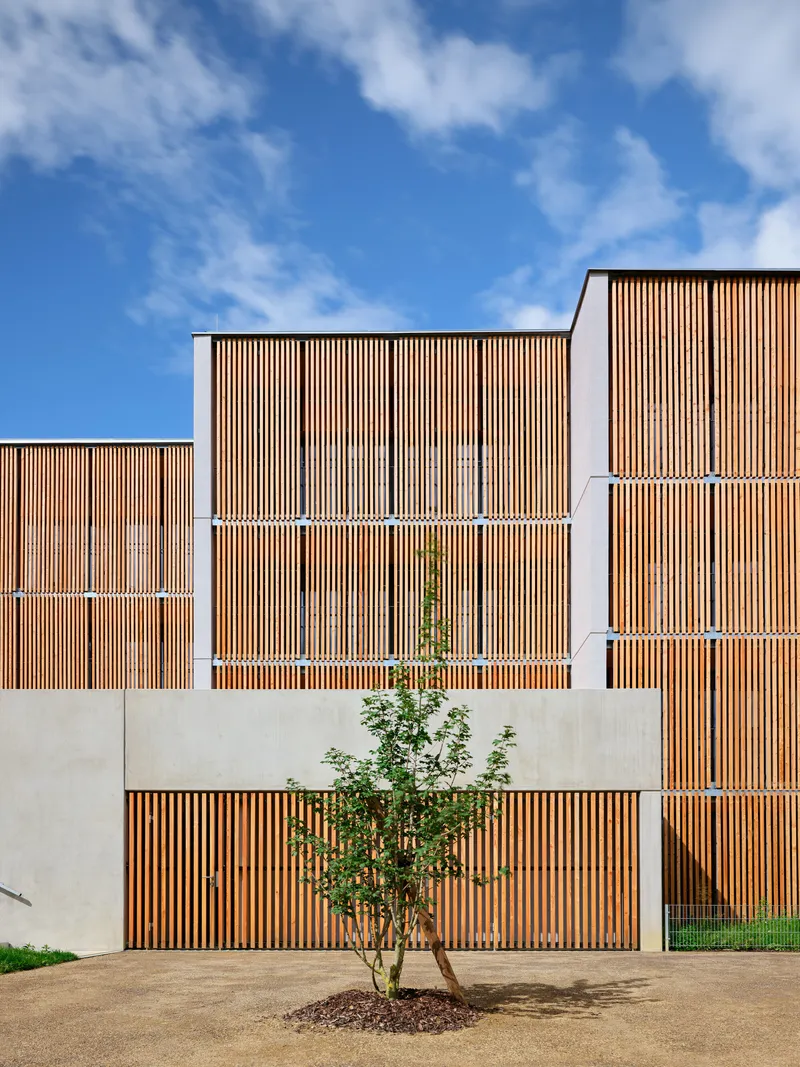 Stepped facade composition with timber slat screens and concrete bands framing a young tree