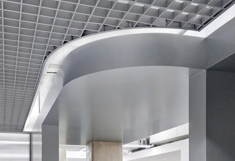 Curving grey partition wall beneath an egg-crate gridded ceiling and linear lighting