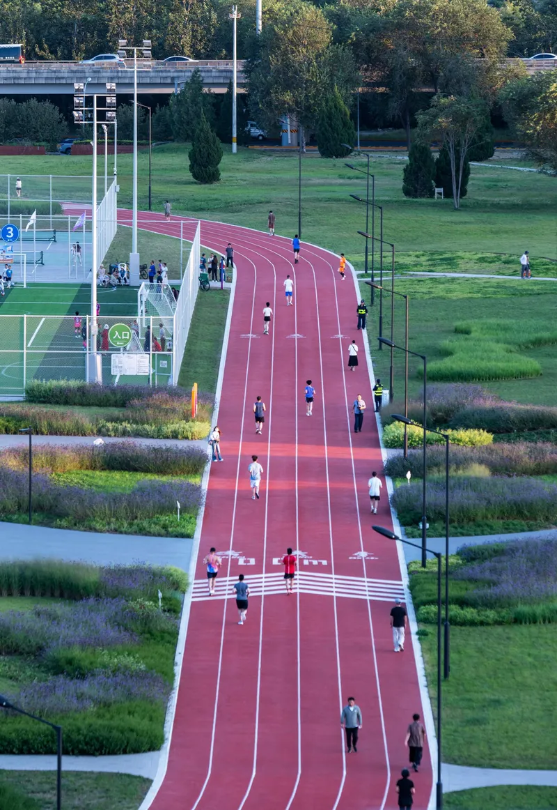 Elevated view of the red running track curving through planted beds with joggers at dusk