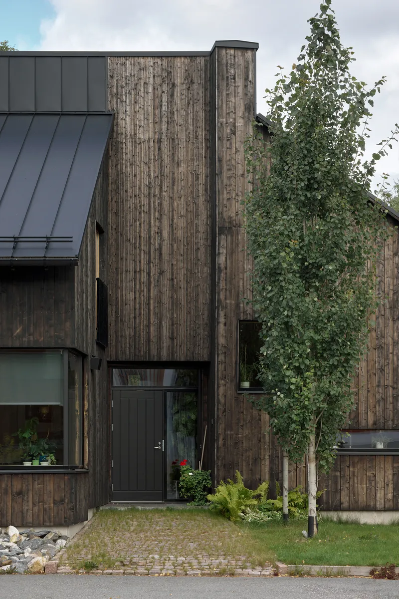 Street facade of charred vertical timber cladding with metal standing seam roof and young tree in foreground