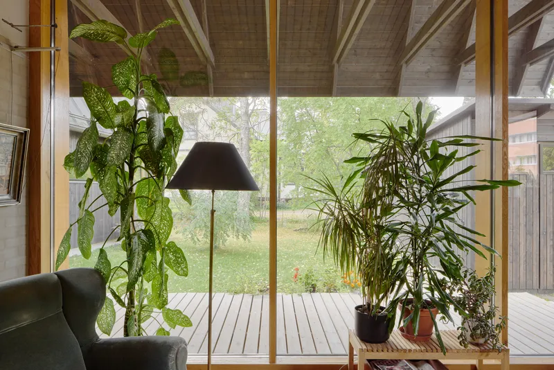 Floor-to-ceiling windows framing a timber deck and potted plants under exposed wood rafter ceiling