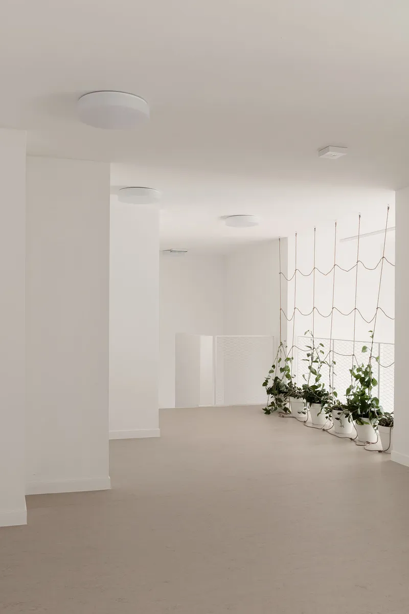 White corridor with recessed ceiling lights leading to a rope climbing installation with potted plants below