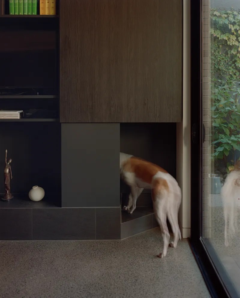 Dog entering a concealed passage through the base of the built-in cabinetry unit