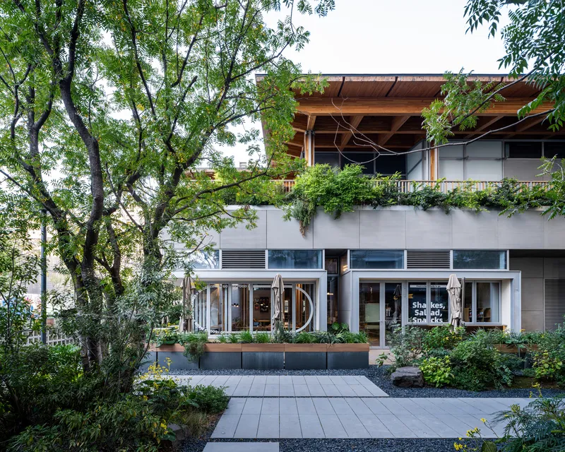 Ground floor facade with storefront glazing and planted terrace above shaded by overhanging timber roof structure