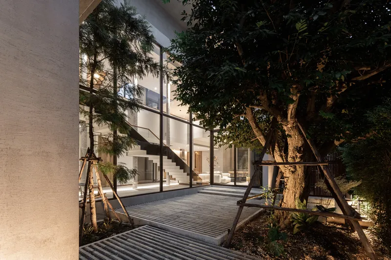 Courtyard with slatted metal decking and mature tree lit by pendant lights at dusk
