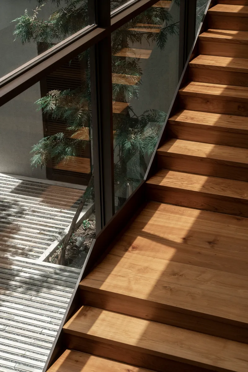 Timber staircase with glass balustrade overlooking a courtyard garden in dappled light