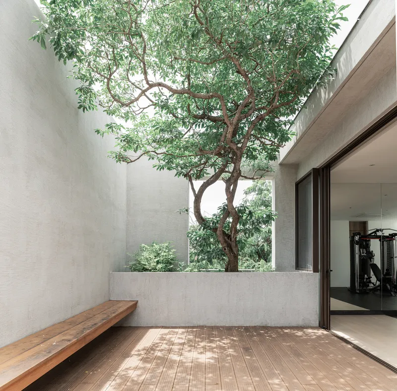 Courtyard with timber deck and built-in bench beneath a tree and dappled sunlight