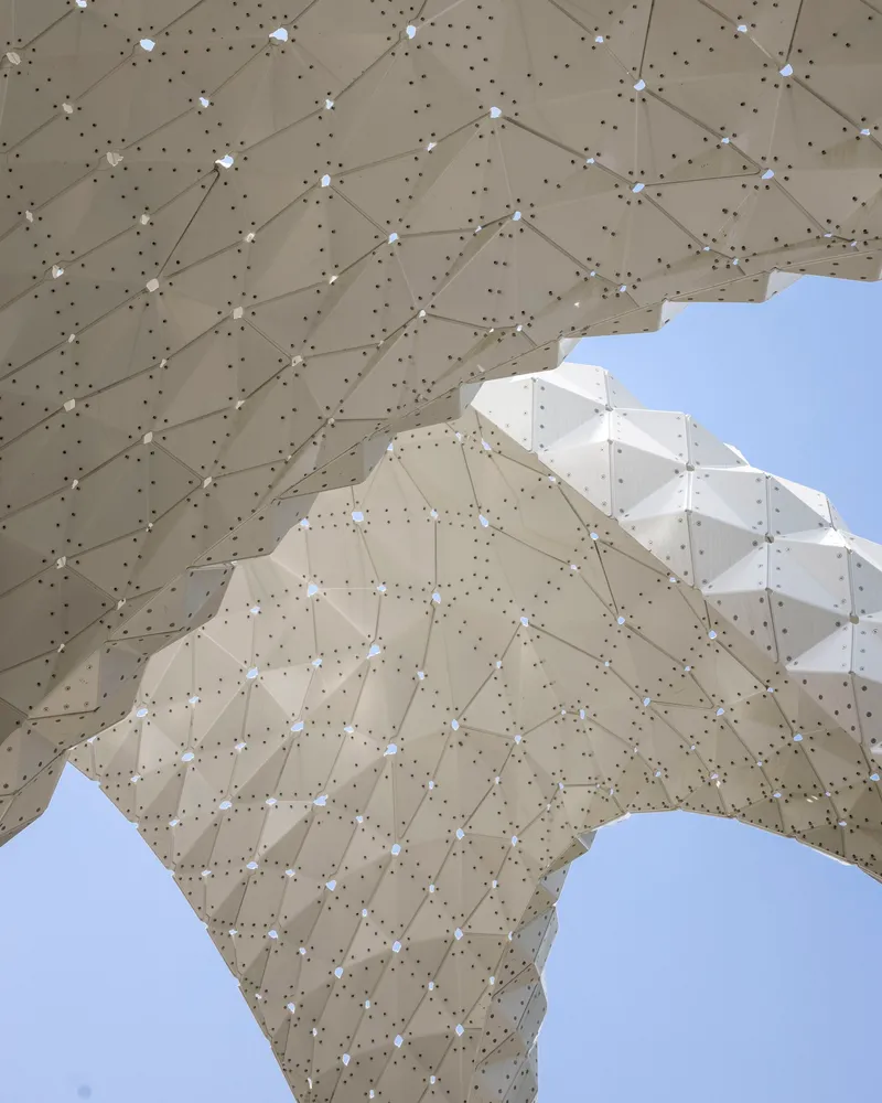 Underside view of curved timber panels with geometric facets and openings to clear sky