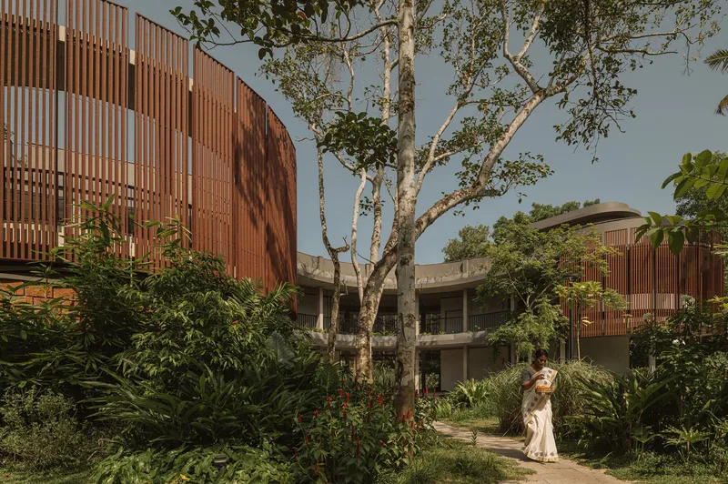 Courtyard garden with mature trees and lush planting between the vertical timber screen and curved concrete colonnade