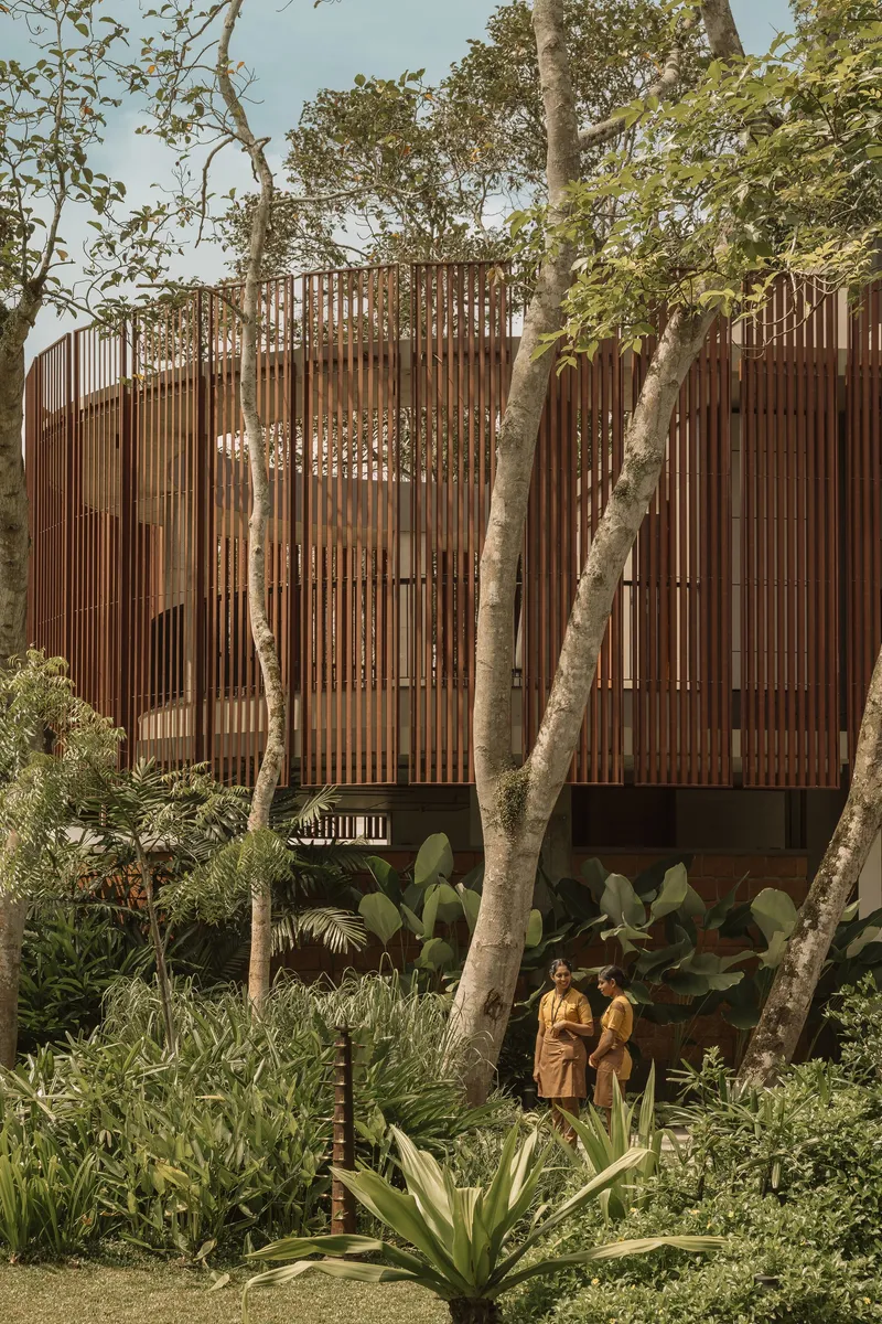 Curved timber screen facade on concrete base with two figures in garden foreground beneath white-barked trees