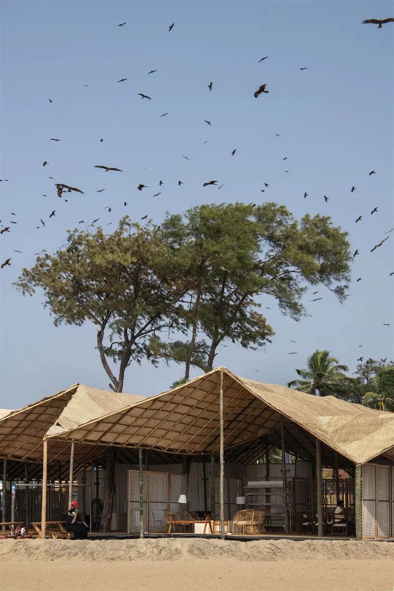 Thatched roof pavilions on a sandy beach with trees above and birds circling in the sky