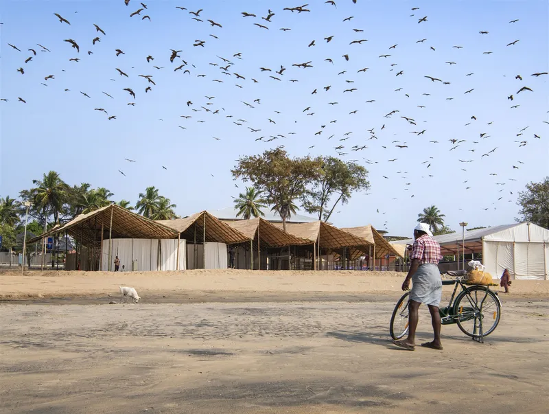 Exterior facade with rippling bamboo canopy and timber screen walls as birds fly overhead