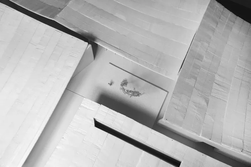 Aerial view of a courtyard with a single tree casting shadow across pale paving