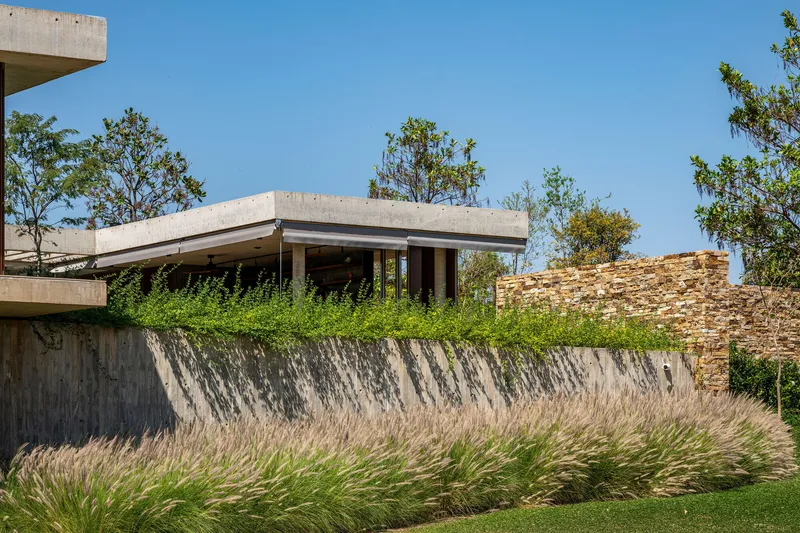 Concrete pavilion above board-formed retaining wall planted with ornamental grasses beneath scattered trees