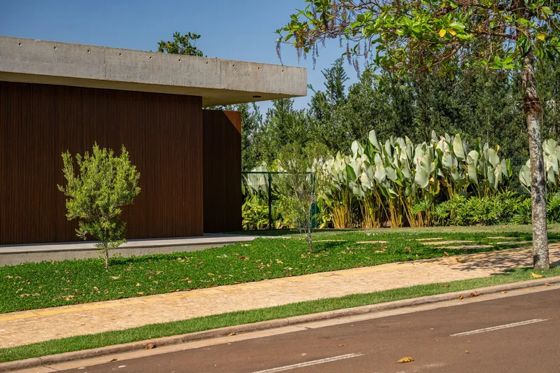 Entry canopy with timber cladding adjacent to lawn and large paddle cactus planting under blue sky