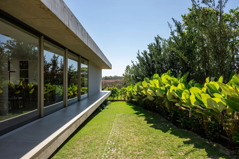 Glazed corridor with concrete overhang opening to a grass terrace planted with bright green tropical foliage
