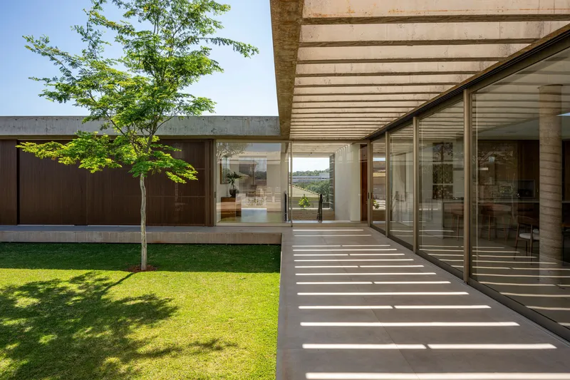 Covered terrace with timber slat ceiling framing a courtyard lawn and tree in bright sunlight