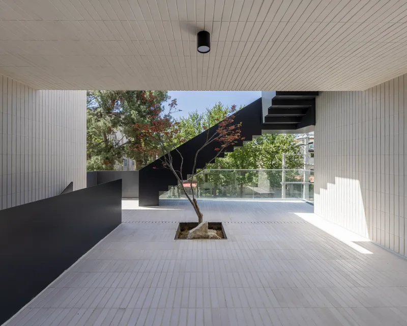 Covered terrace with ribbed timber ceiling and a tree growing through a floor cutout beside black steel stairs