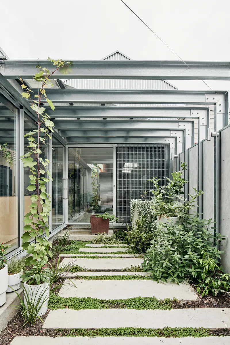 Glazed steel pergola sheltering concrete paver pathway with ground cover plantings between slabs