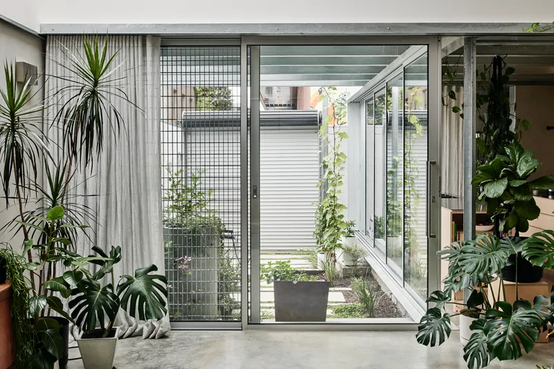 Interior view through glazed doors to a planted courtyard with mesh screens and potted monstera