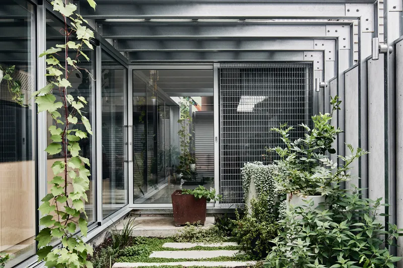 Courtyard garden with pavers and climbing vines against corrugated metal walls and wire mesh screens