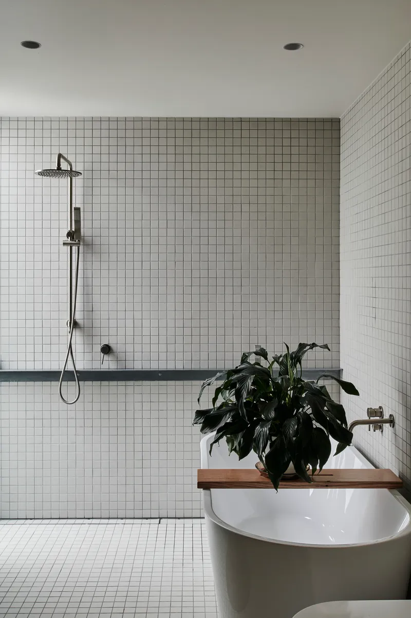 Bathroom with white square mosaic tile walls and a timber shelf supporting a large potted plant