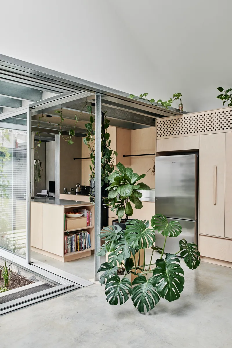 Open kitchen with exposed steel beams and hanging monstera plants beneath a glazed roof structure