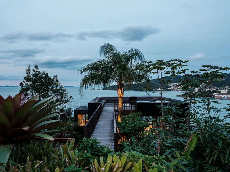 Elevated timber walkway crossing through lush tropical vegetation with palm trees and coastal bay beyond at dusk