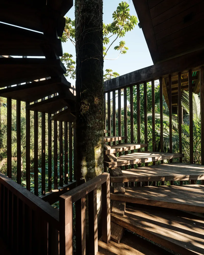 Timber staircase with vertical slat balustrade wrapping around a preserved tree trunk in dappled sunlight