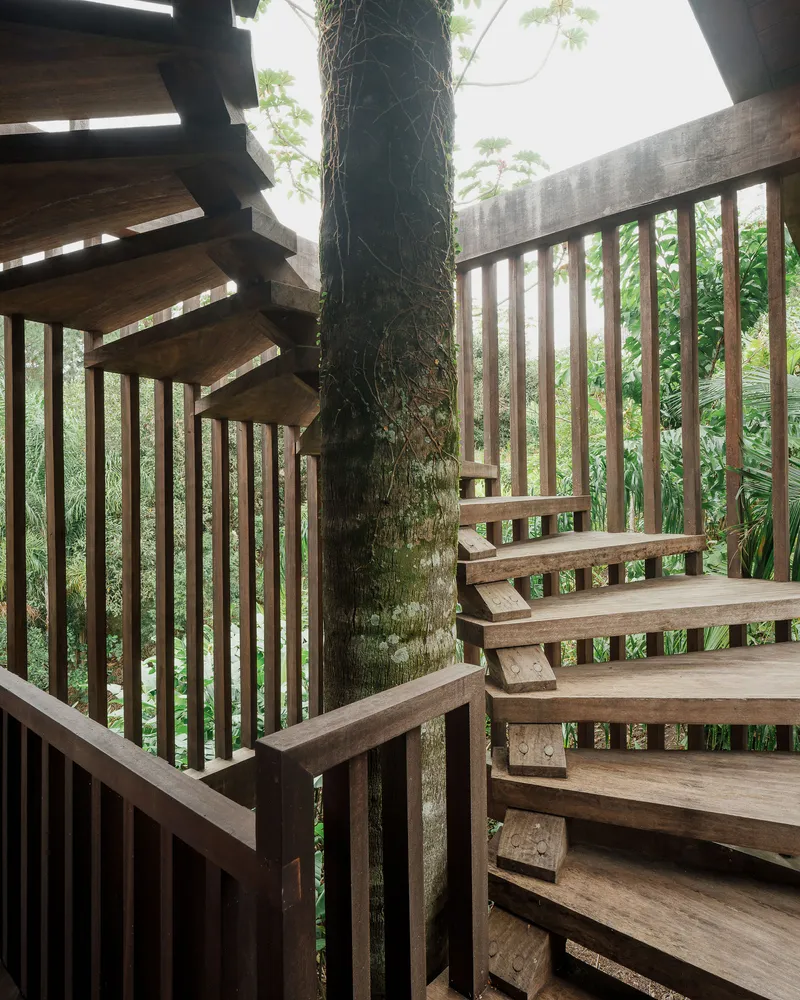 Open-tread wooden stairs with vertical screening alongside a tree trunk emerging through the structure