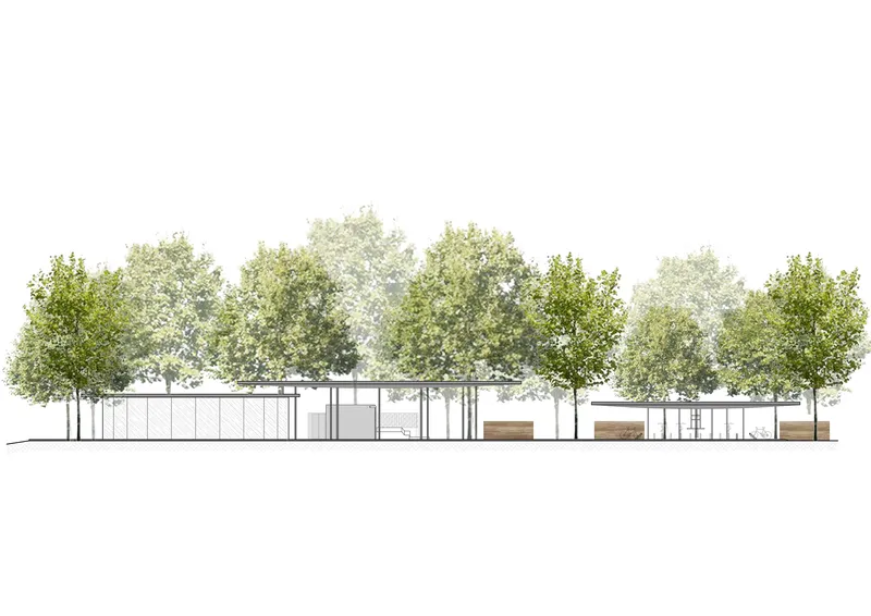 Elevation drawing of a glass pavilion sheltered beneath a line of trees