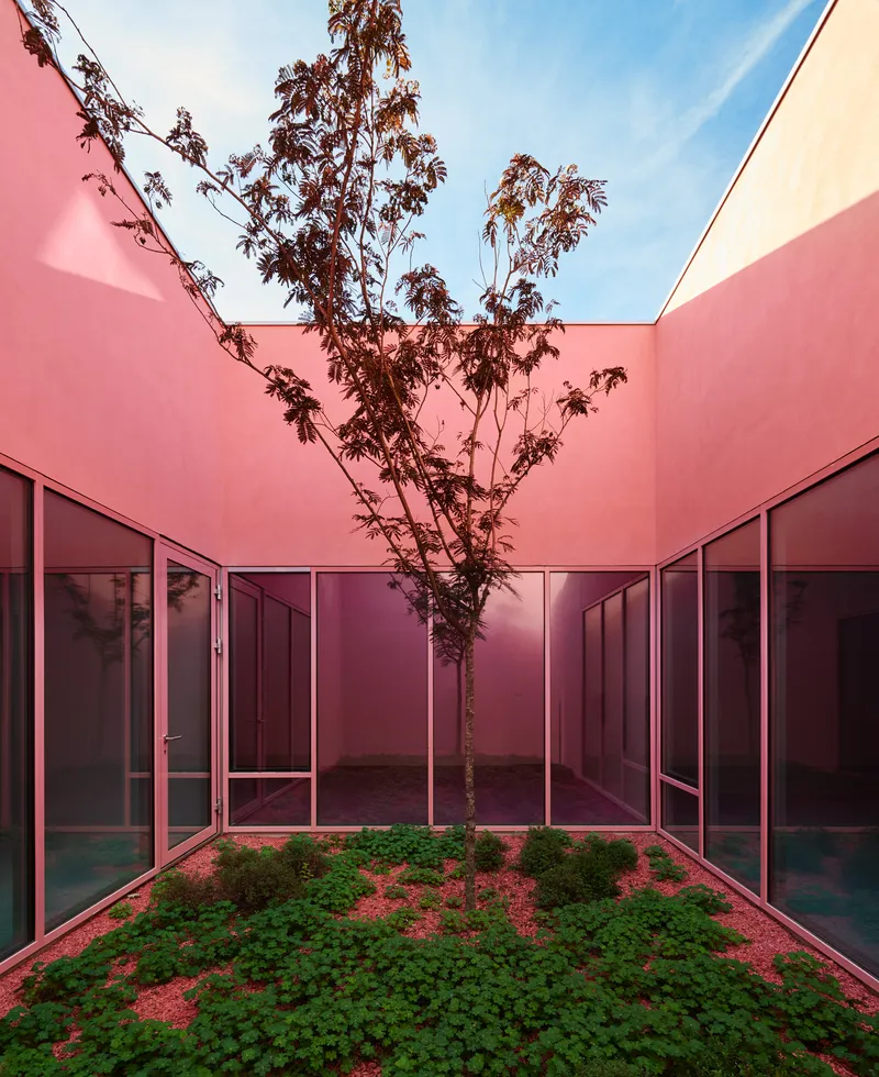Open courtyard with pink walls and glazed doors framing a central tree under clear sky