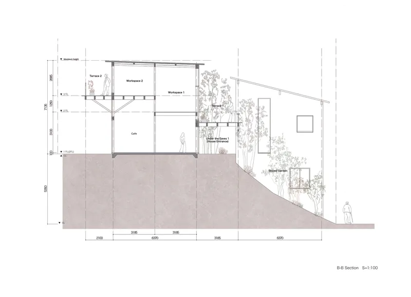 Section drawing showing workspace volumes on a sloping site with terraces and planted gardens